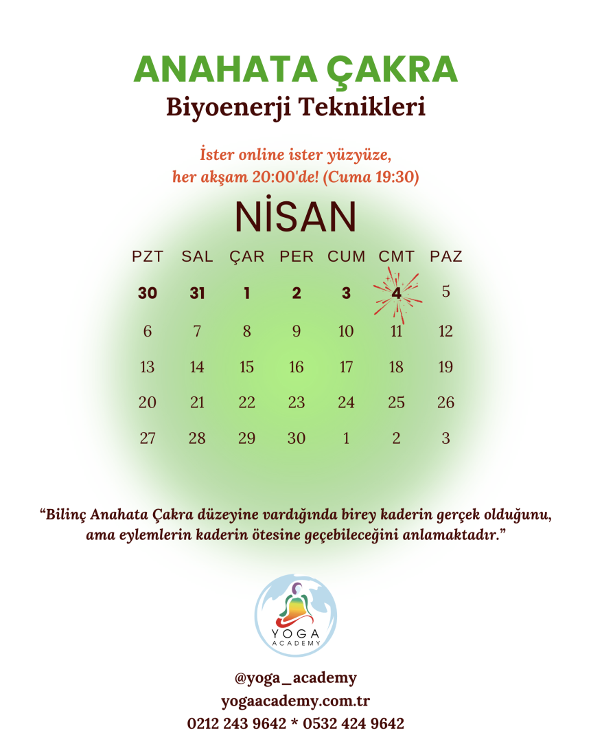 ÇAKRA ÇALIŞMALARI